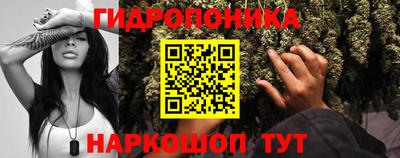гашик Краснодар