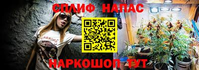 гашик Краснодар
